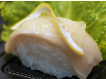 Peixe Branco